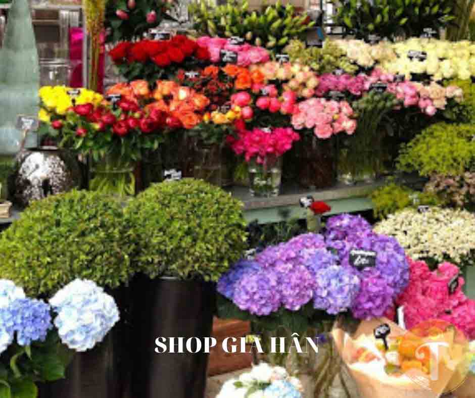 Shop hoa tươi Gia Hân Đà Nẵng